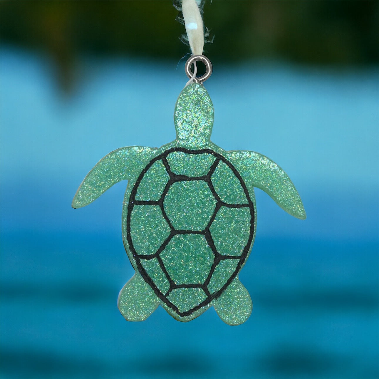 Turtle Freshie