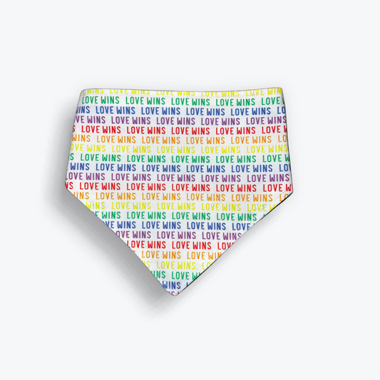 Love Wins Bandana