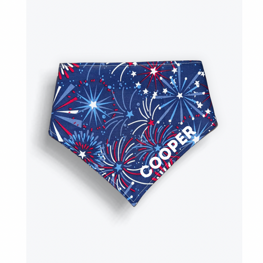 Custom Firework Bandana